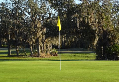 Golf Paradise Golf Course Golf Paradise Golf Course